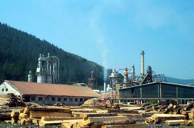 Распламсава се сукоб између компаније Вектра Јакић и Управе за шуме Црне Горе: Док ратују саопштењима, машине стоје